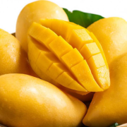 Kesar mango